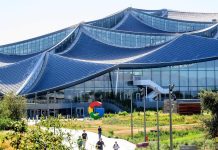 Google-parent stock drops on fears it could lose search market share to AI-powered rivals