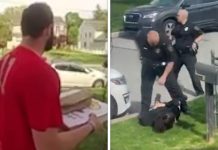 See pizza delivery guy take out suspect fleeing police