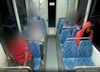 911 calls released in Charlotte light rail stabbing: ‘People are just freaking out’