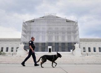 SCOTUS allows Lisa Cook to stay on Fed board into 2026