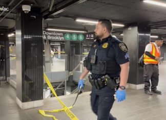 WATCH: Police shoot and kill machete-wielding man in New York City