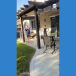 WATCH: Hot air balloon makes surprise landing in SoCal back yard