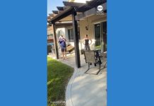 WATCH: Hot air balloon makes surprise landing in SoCal back yard