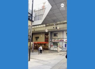 WATCH: Japan shakes and rattles as earthquake hits off coast