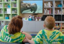 WATCH: Zoo’s 24/7 channel streams in children’s hospitals