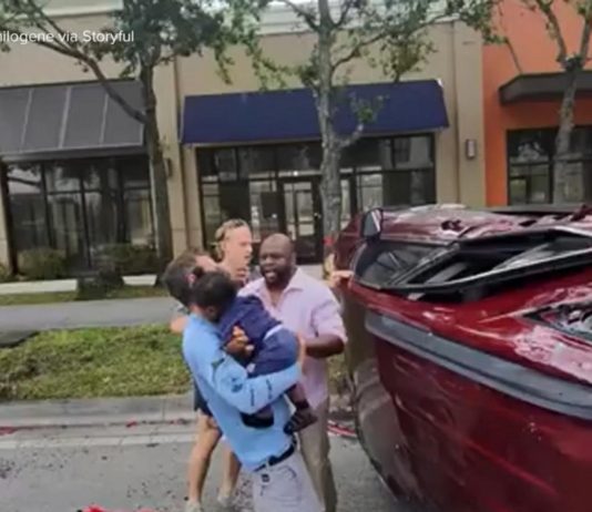 WATCH: Good Samaritans in Florida rescue family, including baby, after car crash