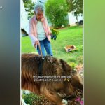 WATCH: Woman gardening at 96 with help from dog takes over the internet