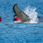 The Tea, Spilled by Morning Joe: ‘Maybe we ought to stop spending money’