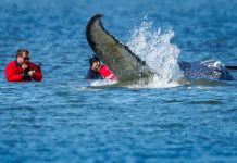 The Tea, Spilled by Morning Joe: ‘Maybe we ought to stop spending money’