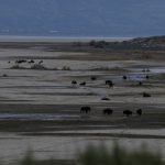 Why Trump wants to spend $1 billion on Great Salt Lake