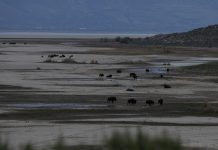 Why Trump wants to spend $1 billion on Great Salt Lake