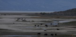 Why Trump wants to spend $1 billion on Great Salt Lake