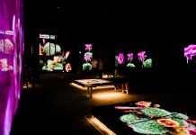 The Sonoran Desert teems with wildlife. These 3D scans could help protect its future