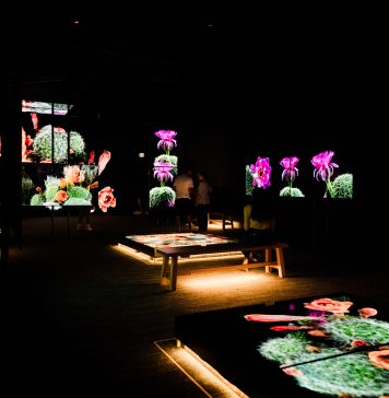 The Sonoran Desert teems with wildlife. These 3D scans could help protect its future