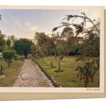 Greetings from an Islamabad park, a peaceful vantage point in an uncertain world