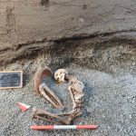 Pompeii archaeologists use AI to reconstruct man killed in volcano’s eruption