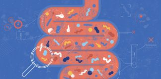 Scientists search the microbiome for clues to the rise in colorectal cancers