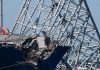 Maryland settles with owner and operator of ship that crashed into bridge