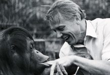 WATCH: Sir David Attenborough turns 100