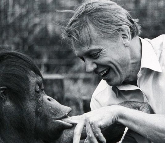 WATCH: Sir David Attenborough turns 100