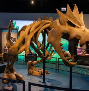 WATCH: This museum exhibit features Pokémon and real fossils