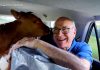 WATCH: Father, daughter take road trip to save 2 calves
