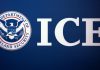 8 people arrested at protest during ICE arrest in Brooklyn, NYPD says