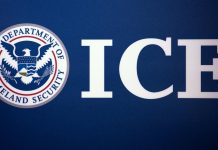 8 people arrested at protest during ICE arrest in Brooklyn, NYPD says