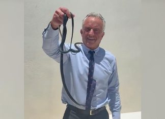 Robert F. Kennedy Jr. captures pair of snakes in viral video