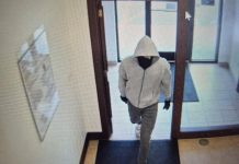 2 employees dead in Kentucky bank robbery, search for suspect continues: State police