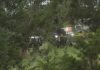 5 killed in Texas plane crash, officials say