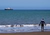 Cruise ship waiting for help after 3 people died in a suspected hantavirus outbreak