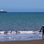 Cruise ship waiting for help after 3 people died in a suspected hantavirus outbreak