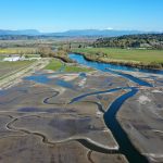 Why this tribe is buying up hundreds of acres of farmland — and flooding it