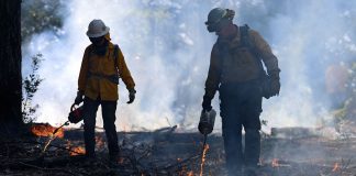 Trump administration falls behind on wildfire prevention with risky fire season ahead