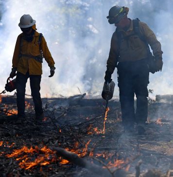 Trump administration falls behind on wildfire prevention with risky fire season ahead