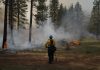 New burn bans and Trump’s battle with immigration and DEI are impacting forest fires