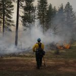 New burn bans and Trump’s battle with immigration and DEI are impacting forest fires