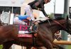 Kentucky Derby winner Golden Tempo is not running in the Preakness
