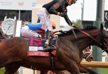 Kentucky Derby winner Golden Tempo is not running in the Preakness