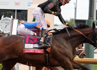 Kentucky Derby winner Golden Tempo is not running in the Preakness