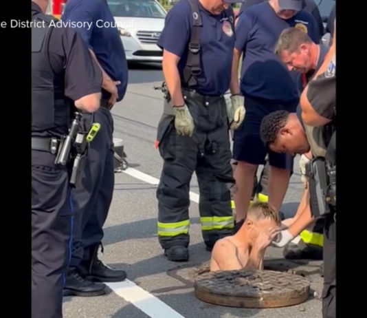 WATCH: Manhole rescue in Northeast Philadelphia