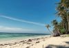 WATCH: Expert: It’s not too late to book summer travel in August