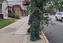 WATCH: New Jersey officer, disguised as shrub, catches alleged distracted drivers
