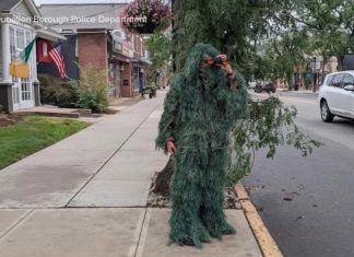 WATCH: New Jersey officer, disguised as shrub, catches alleged distracted drivers