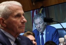 Fauci invokes 5th Amendment during Senate testimony on COVID-19 response