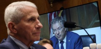 Fauci invokes 5th Amendment during Senate testimony on COVID-19 response