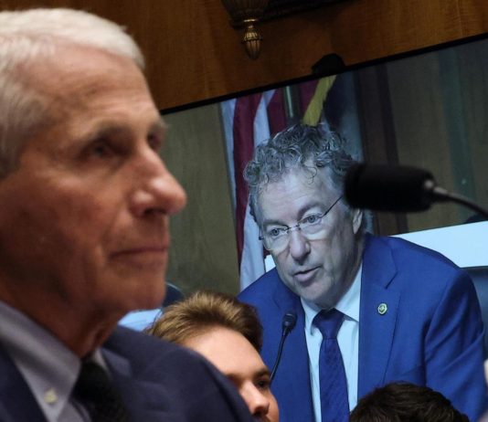 Fauci invokes 5th Amendment during Senate testimony on COVID-19 response