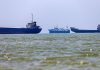 Superspreader event of invasive species originating near Strait of Hormuz possible