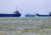 Superspreader event of invasive species originating near Strait of Hormuz possible